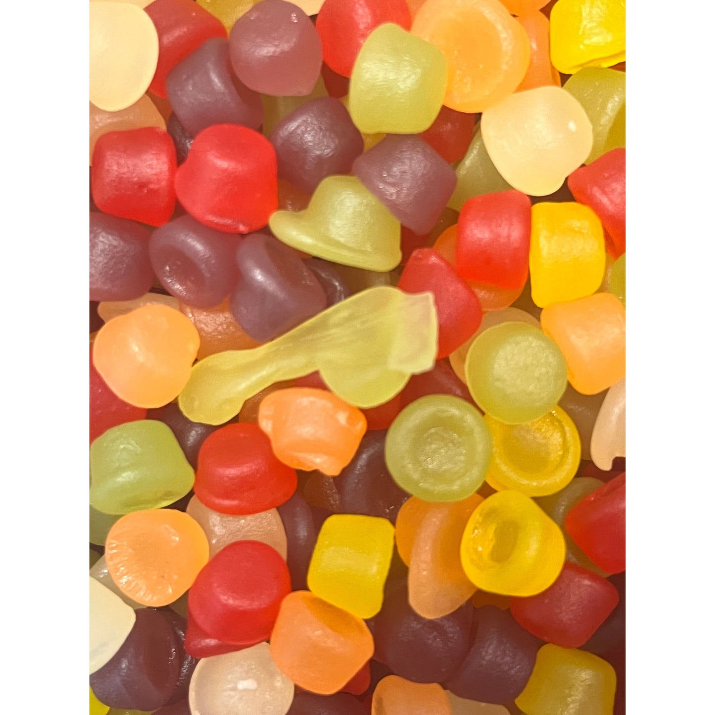Squirrel Floral gums Scented Gums - candy store coppull
