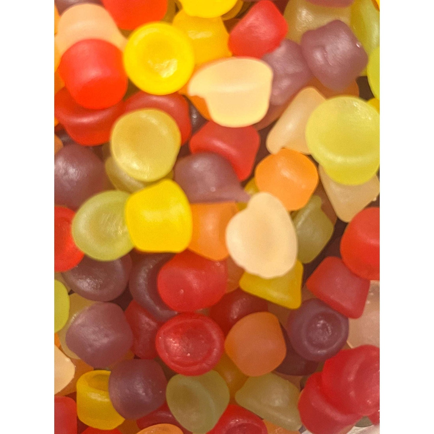 Squirrel Floral gums Scented Gums - candy store coppull