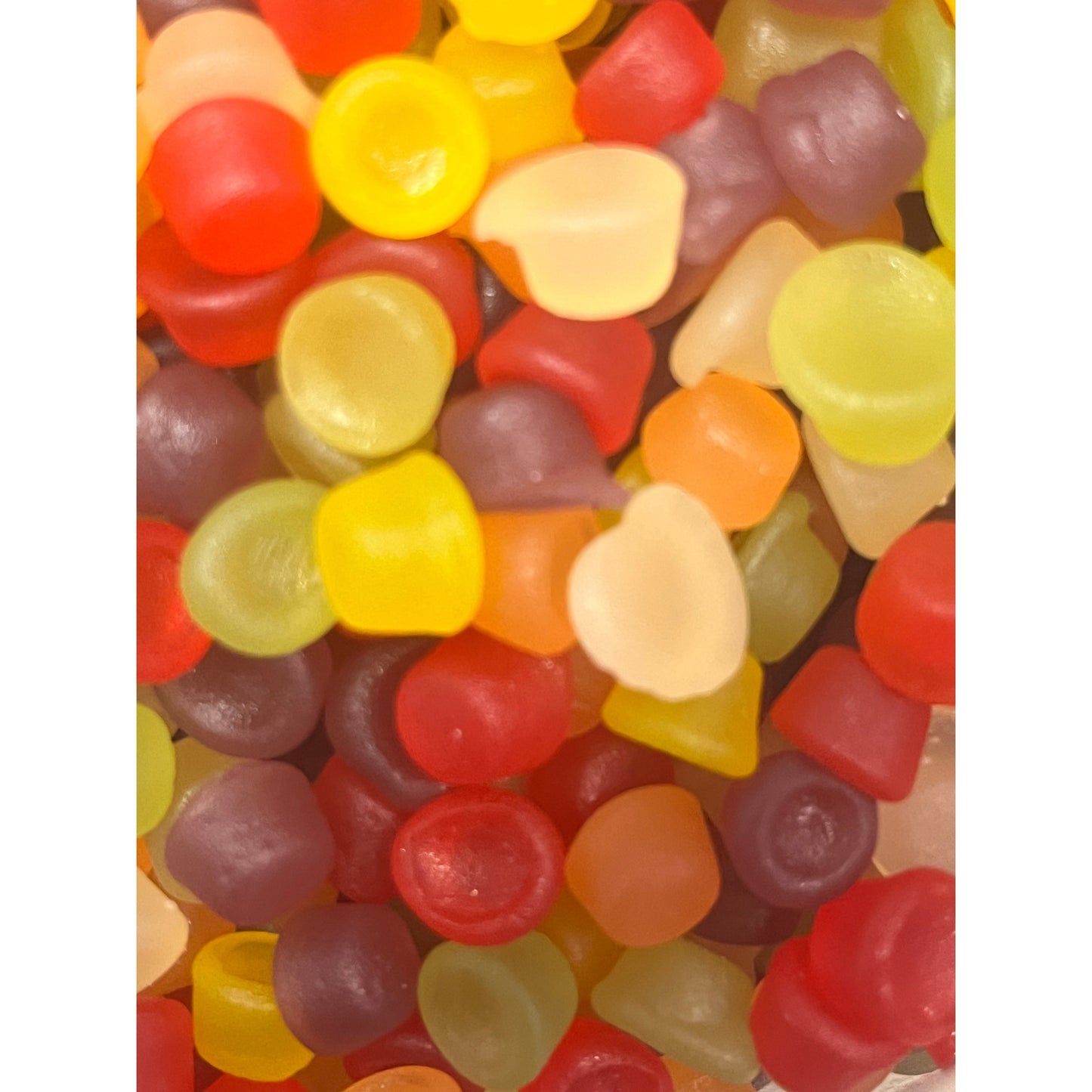 Squirrel Floral gums Scented Gums - candy store coppull