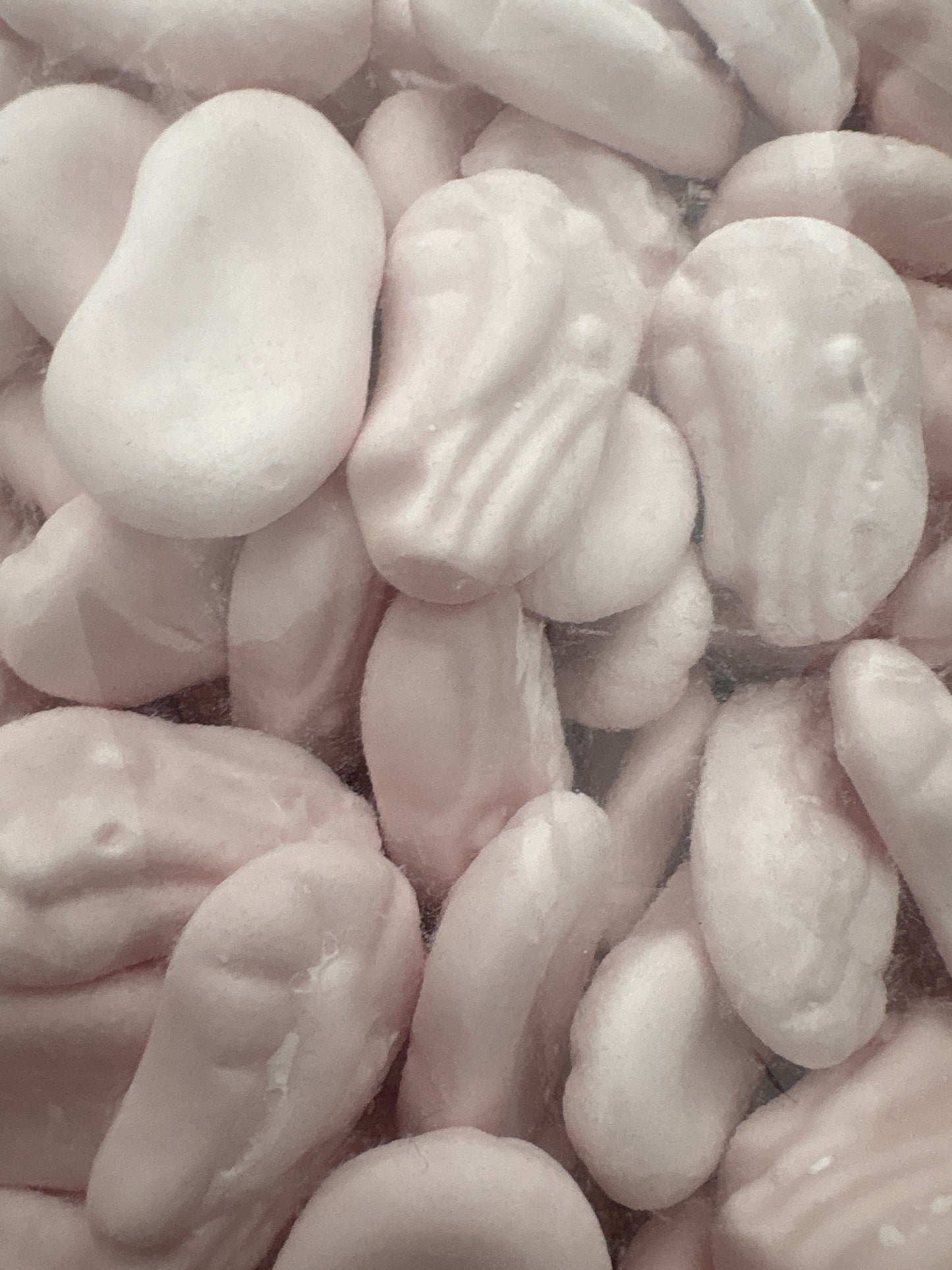 Kingsway mini Foam Shrimps