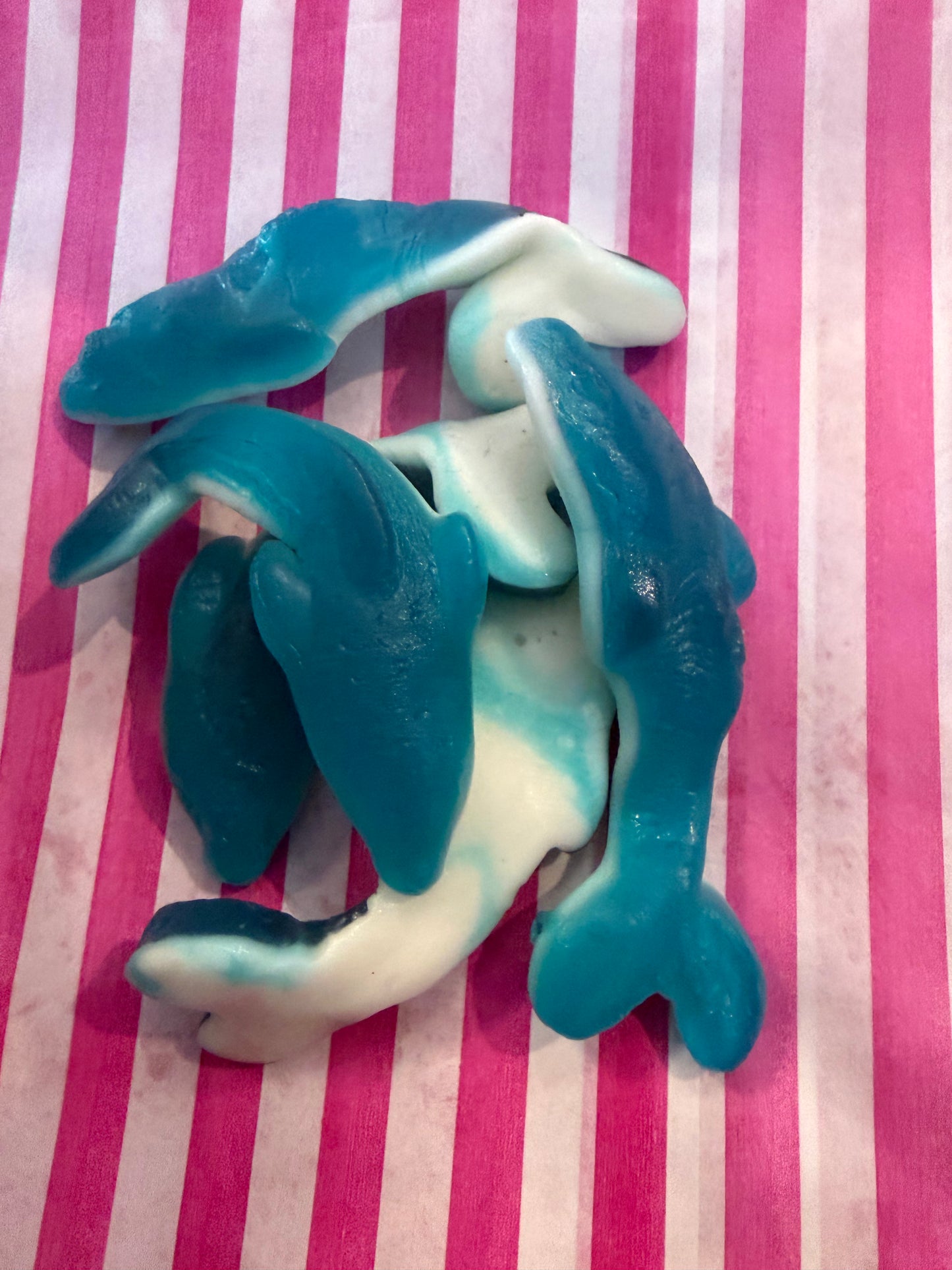 Vidal Giant Dolphins