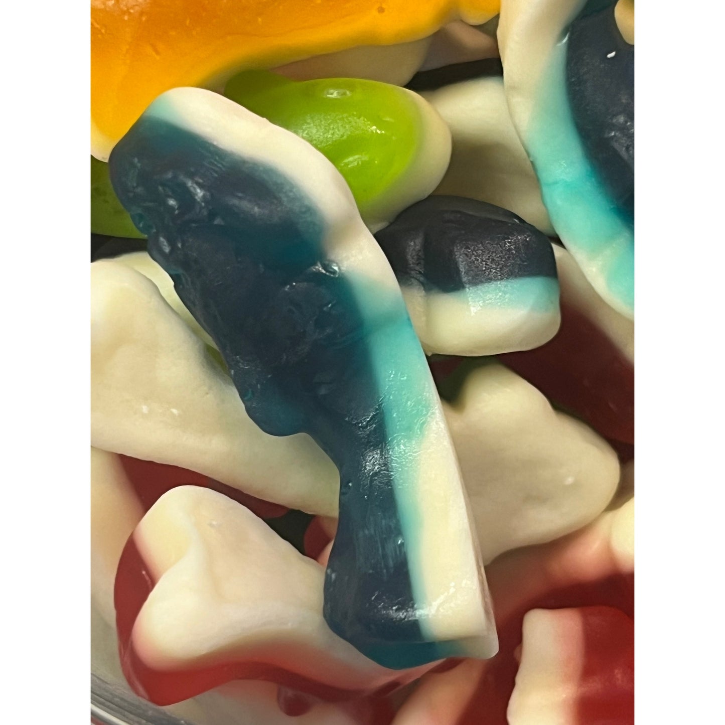 Kingsway Gummy Sharks