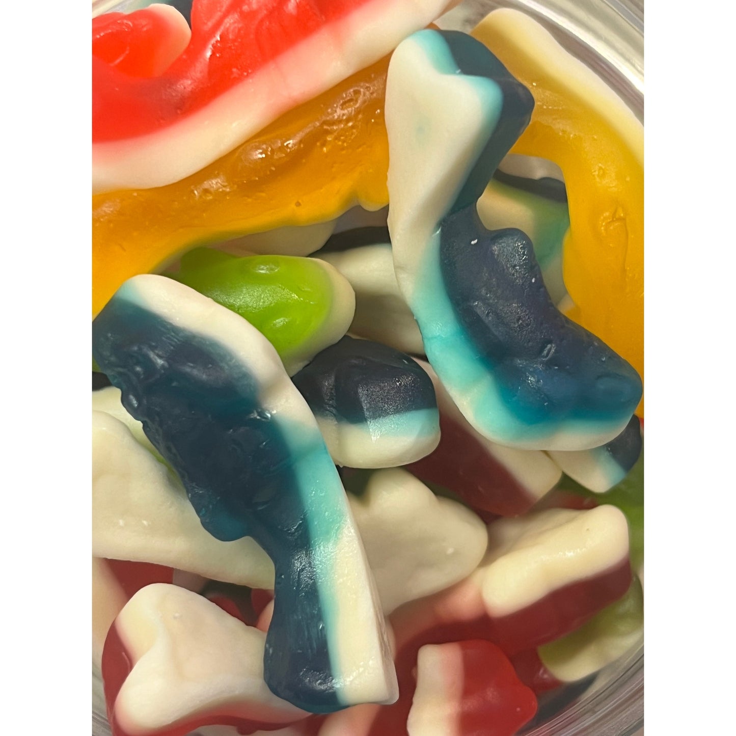 Kingsway Gummy Sharks