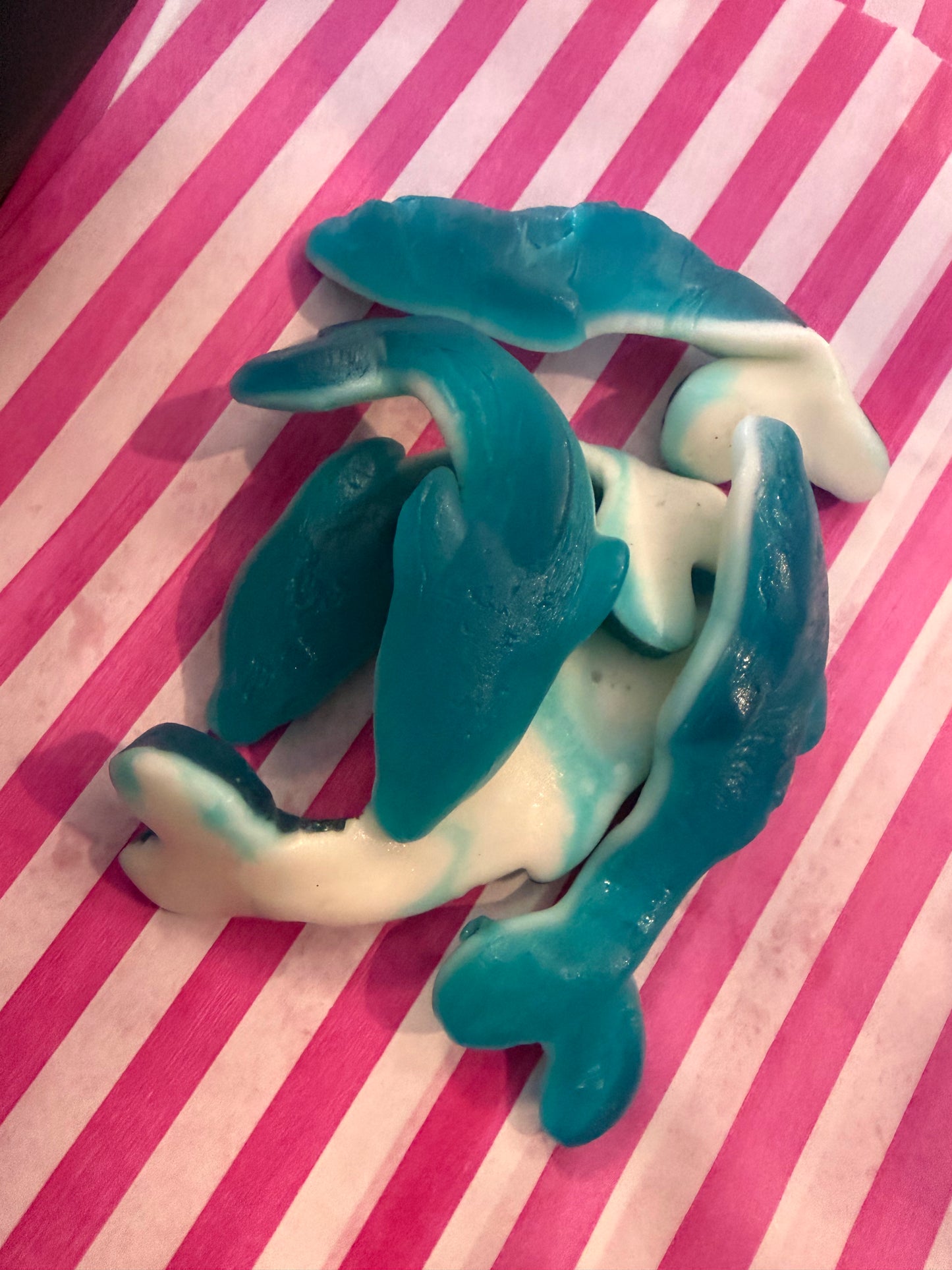 Vidal Giant Dolphins