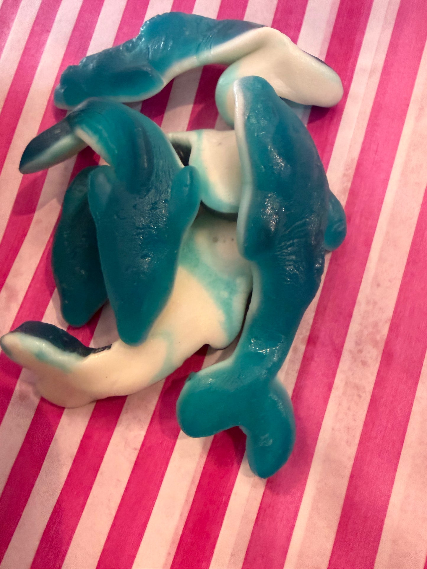 Vidal Giant Dolphins